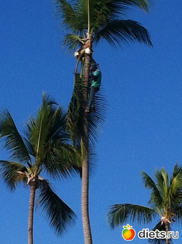 23 ����: ���������� 2013