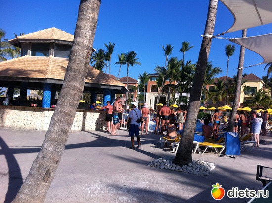 24 ����: ���������� 2013