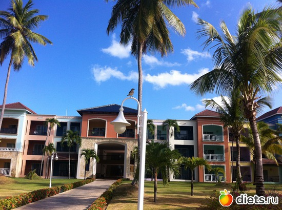 ��� ������, ������: ���������� 2013