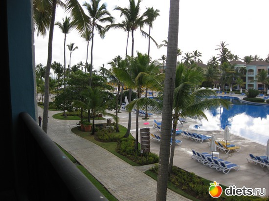 ��� �����, ������: ���������� 2013