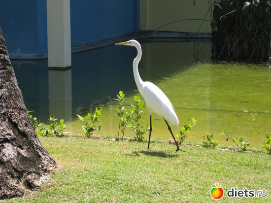 32 ����: ���������� 2013