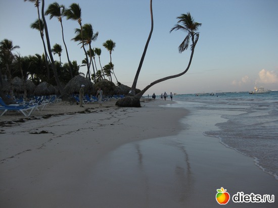 37 ����: ���������� 2013