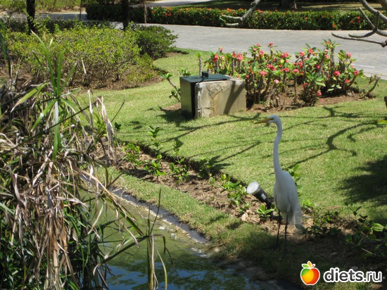 39 ����: ���������� 2013