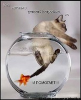 [2 ����] 90 ������.