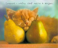 [1 ����] 90 ������