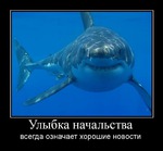 Вся в растрёпанных чувствах...
