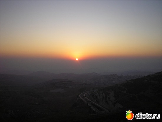 ������ ������ ��� �����������, ������: ������� 2008