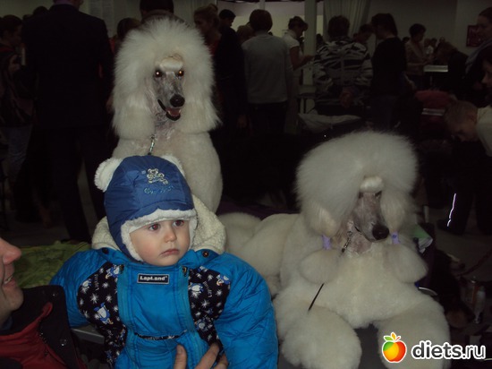 На выставке, альбом: Я и моя семья