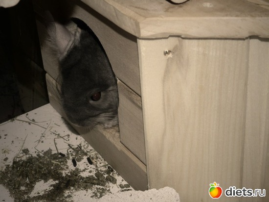 �� � ������, ������: �����