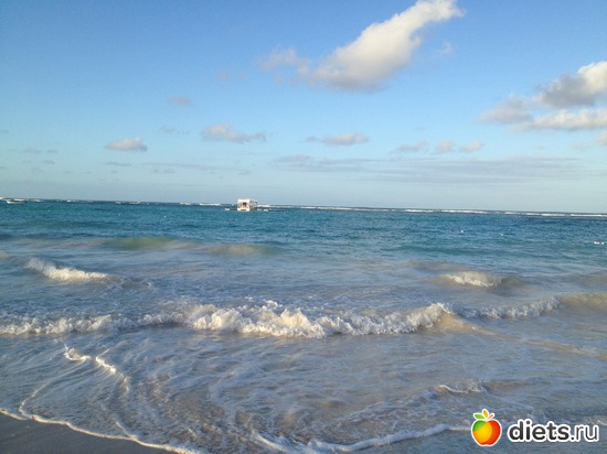 56 ����: ���������� 2013