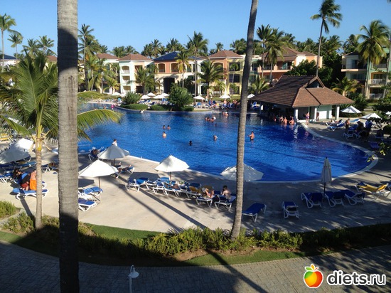 58 ����: ���������� 2013