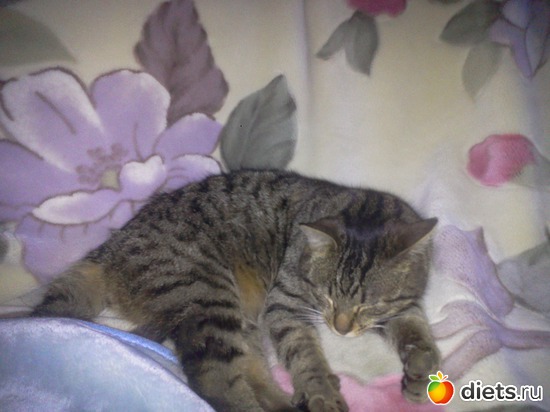 1 ����: ��� ���� ������