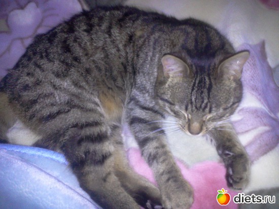 2 ����: ��� ���� ������