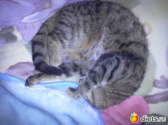 3 ����: ��� ���� ������