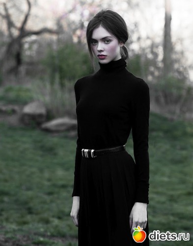 5 ����: ����