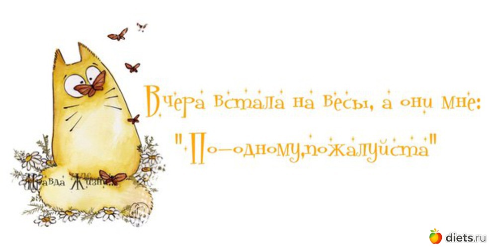 25 ����: 8 ����� ��� �������� �� �������