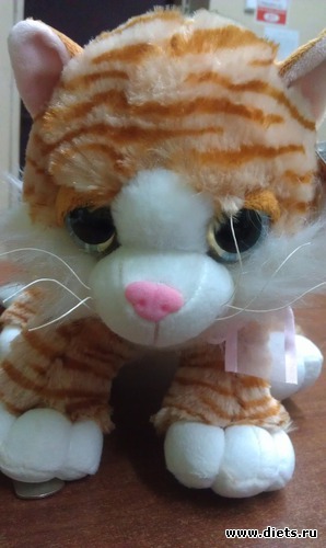 1 ����: ������