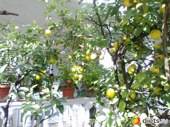 3 ����: ����� � ���������!