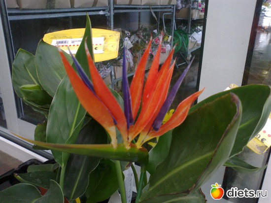 4 ����: ����� � ���������!