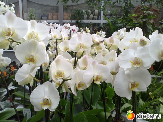 5 ����: ����� � ���������!