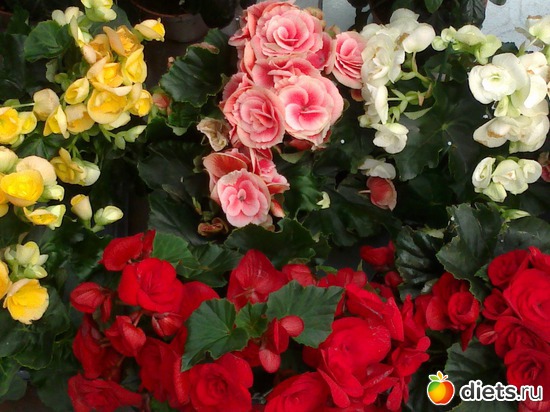 6 ����: ����� � ���������!