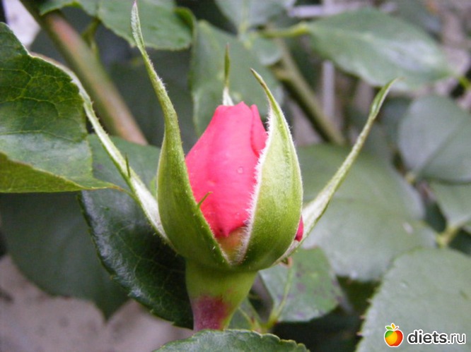 7 ����: ����� � ���������!