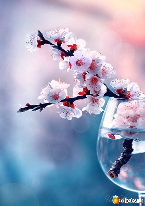 8 ����: ����� � ���������!