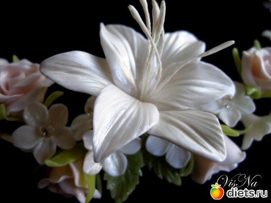 335 ����: ��� ������ �� ���������� �����