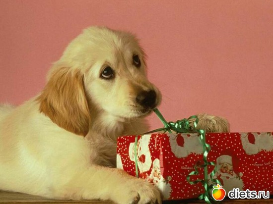 7 фото: подарки