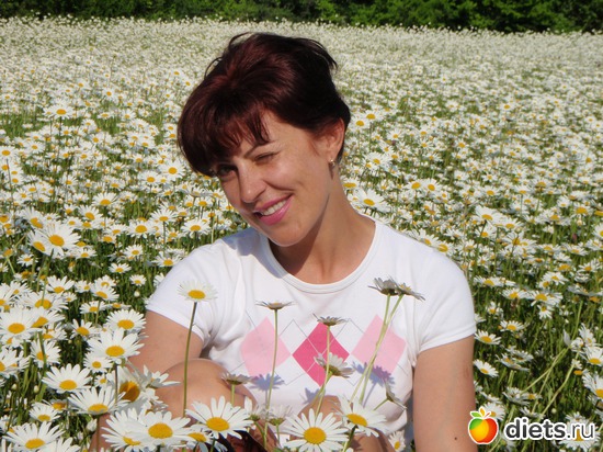 1 ����: ������