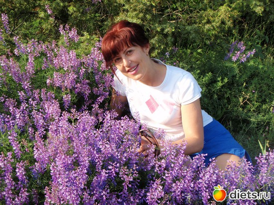 2 ����: ������