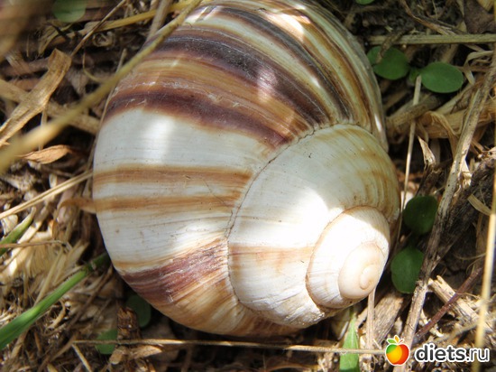 3 ����: ������