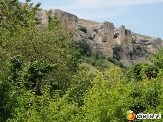 4 ����: ������