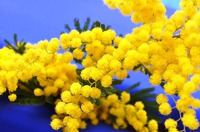  !!!  !!!  !!!    !!!