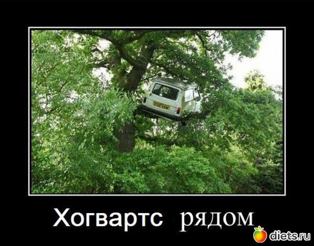 376 фото: Для постов