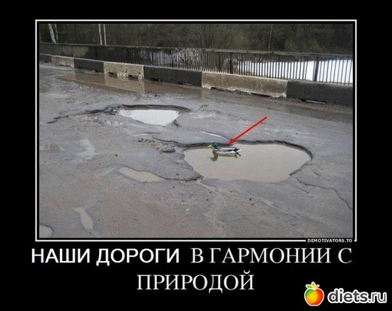 378 ����: ��� ������