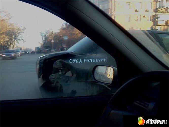 381 ����: ��� ������