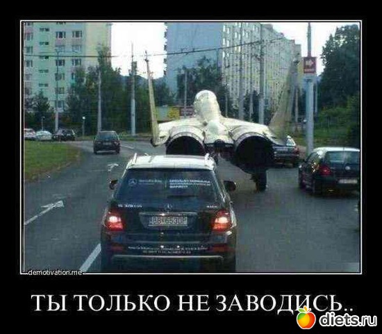 382 ����: ��� ������