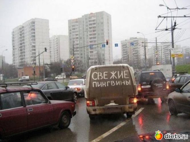 385 ����: ��� ������