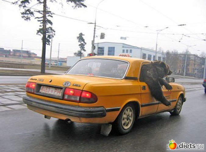 387 фото: Для постов