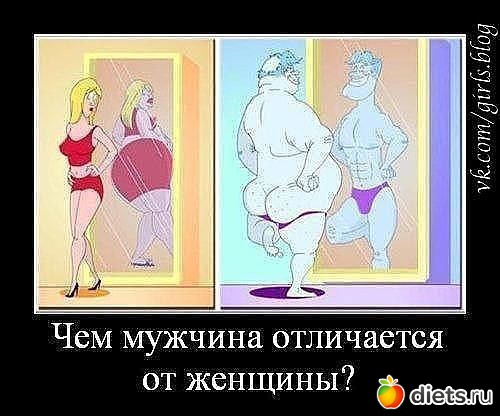 ��� ���������