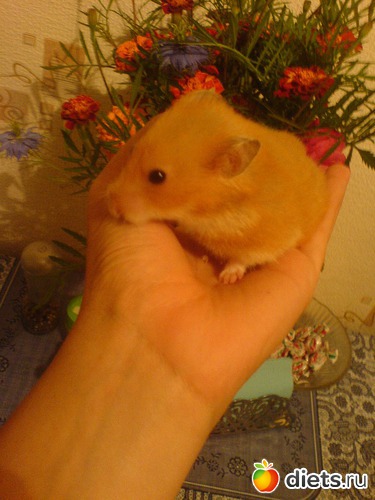 391 ����: ��� ������