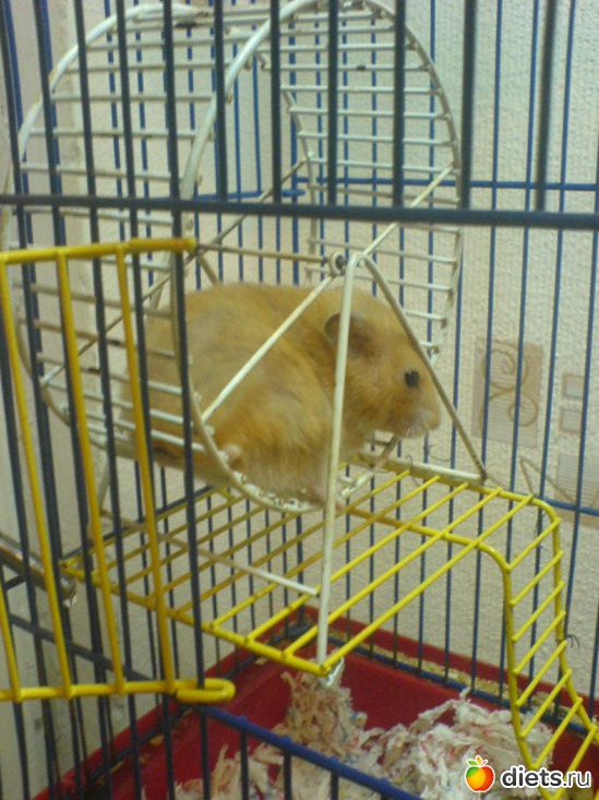 392 фото: Для постов