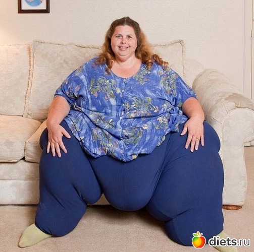 1 ����: ����������