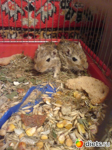 396 ����: ��� ������