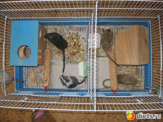 397 фото: Для постов