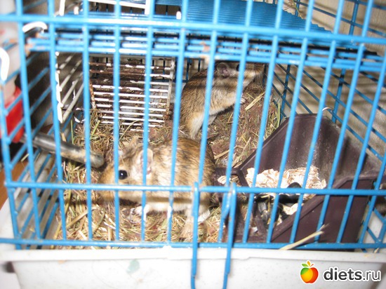 398 фото: Для постов