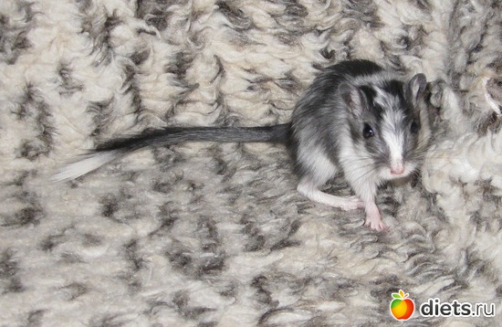 401 фото: Для постов