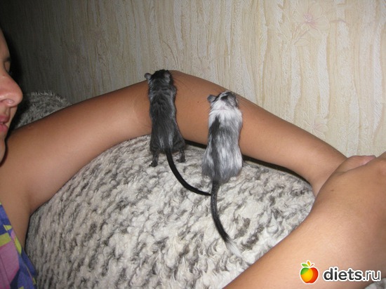 403 фото: Для постов