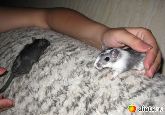 404 ����: ��� ������